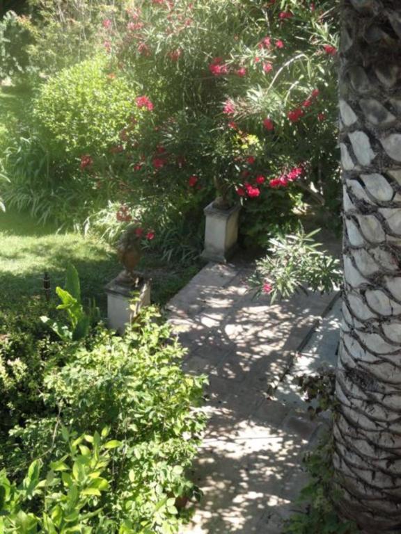Casa Montes Bed & Breakfast Salses-le-Chateau Exterior photo